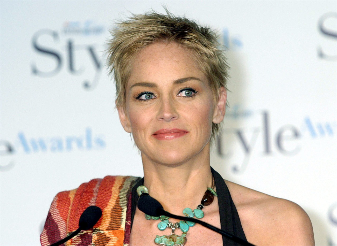 Sharon Stone confesses that she lost custody of her son because of some of her scenes in »Basic Instinct»