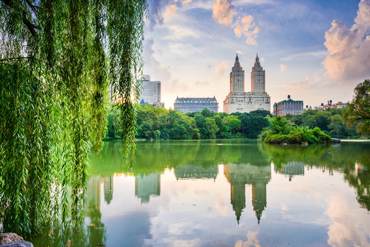 Central Park fête ses 60 ans : nous revenons sur son histoire et l’identifions dans des productions audiovisuelles remarquables