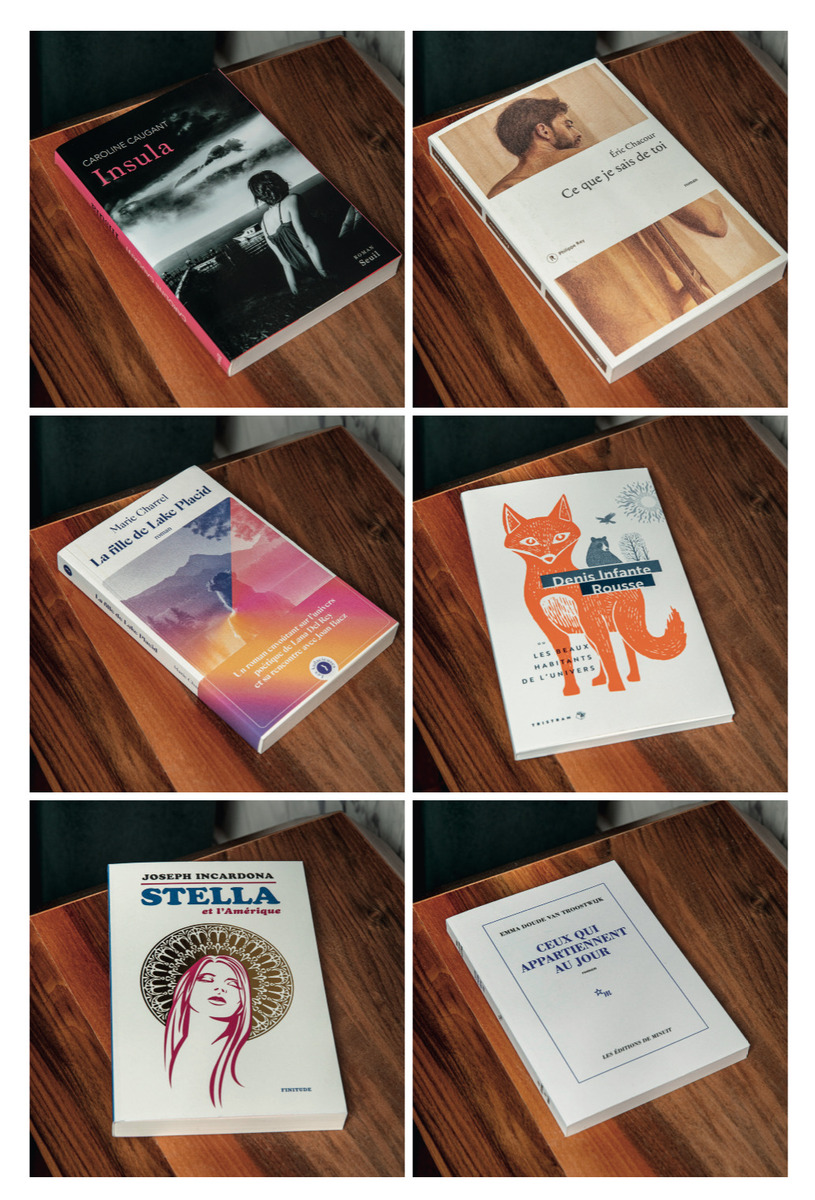 Estos son los seis libros finalistas del Premio Literario de Evok Collection